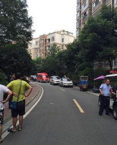 成都港的最新爆料,揭秘港口发展新动向与未来蓝图  第1张