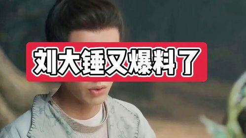 刘大锤爆料生孩子视频,揭秘明星夫妻育儿瞬间 第3张 刘大锤爆料生孩子视频,揭秘明星夫妻育儿瞬间 第3张